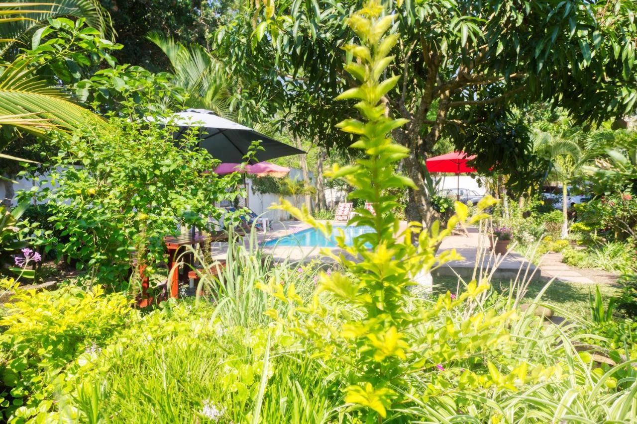 הוילה פונטה דו אורו Ilha Azul House מראה חיצוני תמונה
