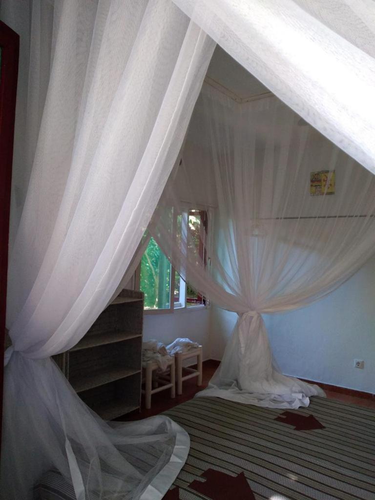 הוילה פונטה דו אורו Ilha Azul House מראה חיצוני תמונה