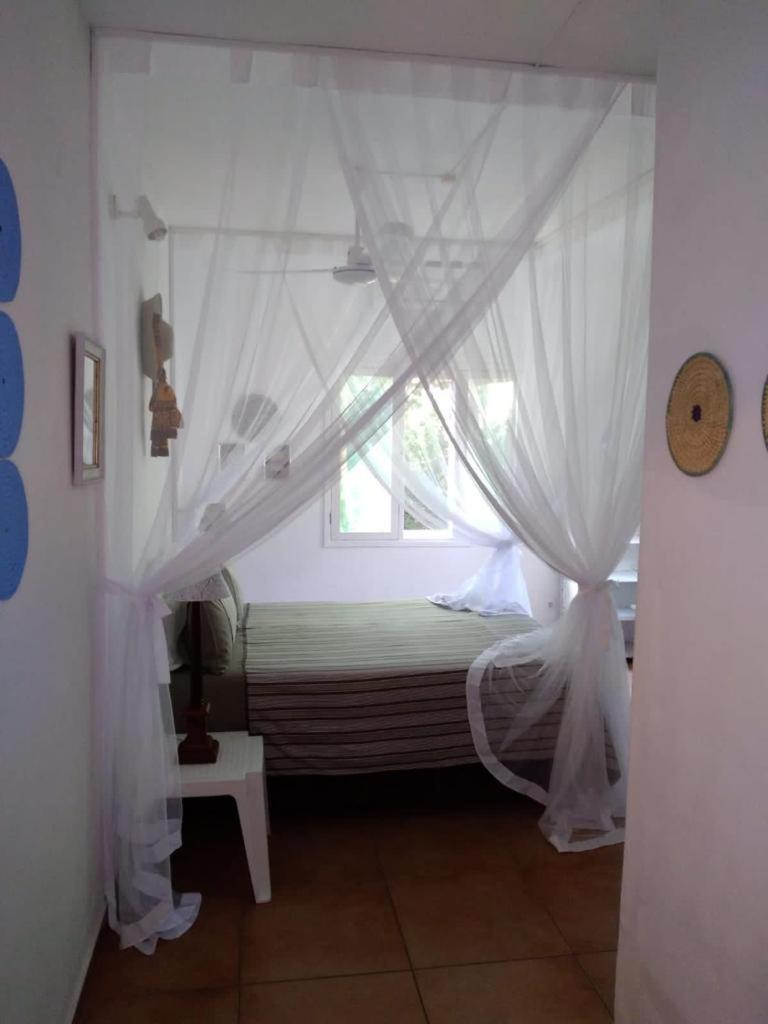 הוילה פונטה דו אורו Ilha Azul House מראה חיצוני תמונה